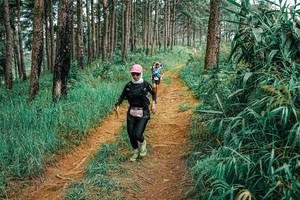 BIB: 
                            <button type="button" onclick="openModal(25656458)" class="btn btn-primary btn-sm float-right btn-popup" data-toggle="modal" data-target=".modal-high-quality">
                        <i class="fas fa-shopping-cart"></i> Add to Cart
                    </button>
                                            <button type="button" onclick="isThisMe(25656458, true)" class="btn btn-success btn-sm float-right btn-popup btn-isme hidden" data-toggle="tooltip" data-placement="bottom" title="นี่คือรูปของคุณใช่ไหม คลิกที่นี่เพื่อเอาเข้าอัลบั้ม">
                        <i class="fas fa-plus"></i> Add to album
                    </button>
                    <button type="button" onclick="isThisMe(25656458, false)" class="btn btn-warning btn-sm float-right btn-popup btn-isnotme hidden">
                        <i class="fas fa-ban"></i> Remove from album
                    </button>